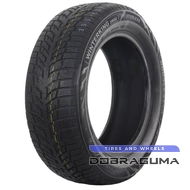 Doublestar WINTERKING DW08 215/55 R16 93H