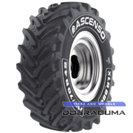 Ascenso XLR 880 (с/х) 710/70 R42 173D