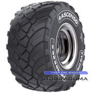 Ascenso FTR 170 (с/х) 560/60 R22.5 165D