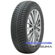Roadstone Eurovis Alpine 2 195/65 R15 95T XL