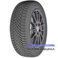Toyo Observe EWS1 225/45 R17 94V XL