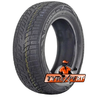 Doublestar WINTERKING DW08 195/65 R15 91T