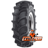 Ascenso TDB 121 (с/х) 6.00 R14 66A6 PR4