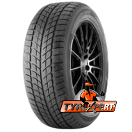 Doublestar WINTERKING DW09 215/45 R17 91H XL