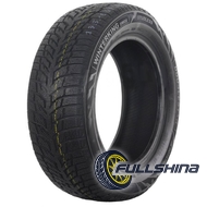 Doublestar WINTERKING DW08 195/65 R15 91T