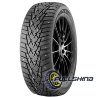 Doublestar WINTERKING DW01 205/65 R16 95T (под шип)