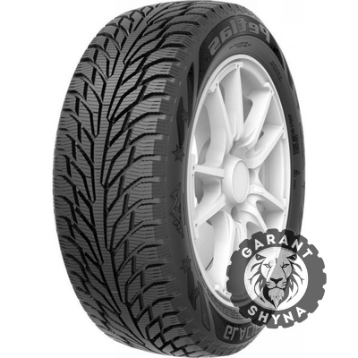 Petlas Glacier W661 215/55 R16 97T XL