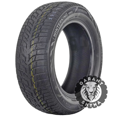Doublestar WINTERKING DW08 155/65 R14 75T