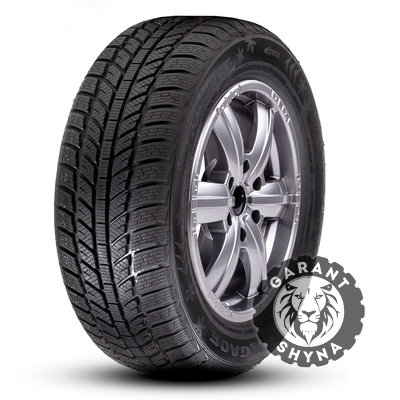 Roadx RXFrost WH01 205/55 R16 91H