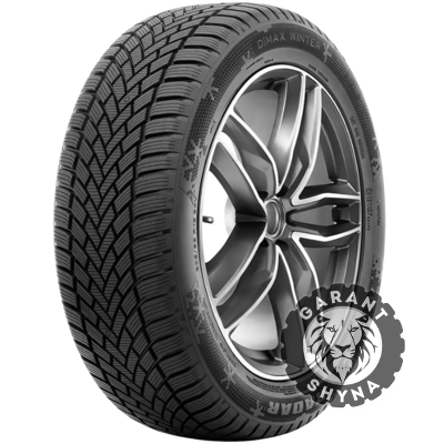 Radar Dimax Winter 205/60 R16 96V XL