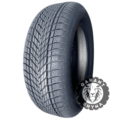 Dunlop Winter 205/60 R16 92H