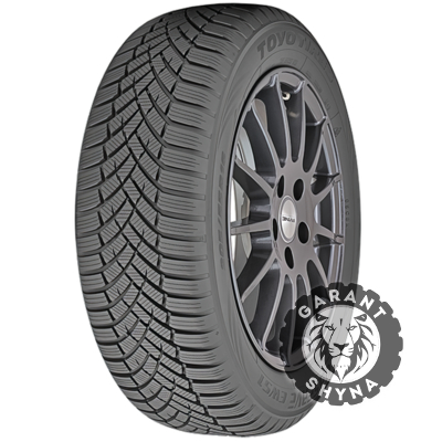 Toyo Observe EWS1 205/55 R16 91H