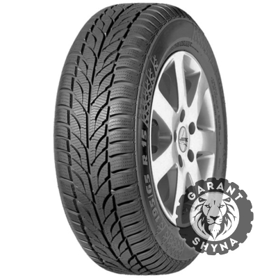 Paxaro Winter 165/70 R14 81T