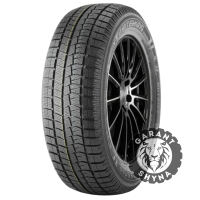 Doublestar WINTERKING DW05 225/65 R17 102T
