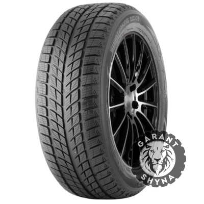 Doublestar WINTERKING DW09 235/50 R19 99H