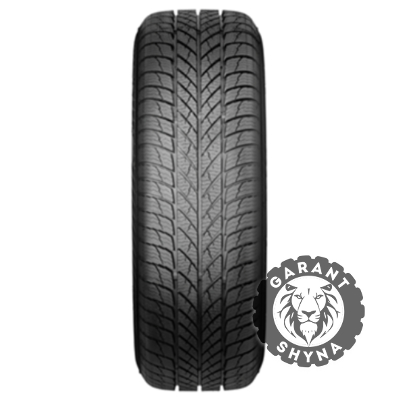 Paxaro INVERNO 215/50 R17 95V XL FR