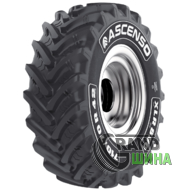 Ascenso XLR 880 (с/х) 650/85 R38 173D