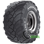 Ascenso FTR 170 (с/х) 560/60 R22.5 165D