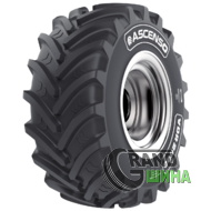 Ascenso VDR 2000 (с/х) 900/60 R42 189D NRO SB VF