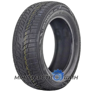 Doublestar WINTERKING DW08 185/60 R15 84T