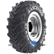 Ascenso TDR 650 (с/х) 540/65 R28 149D