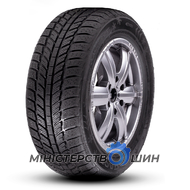 Roadx RXFrost WH01 205/55 R16 91H