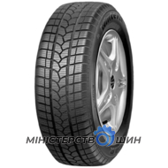 Tigar Winter1 175/70 R14 84T