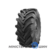 Росава Ф-81 (с/х) 800/65 R32 162A6 PR12
