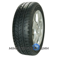 Avon Ice Touring 225/45 R17 91H