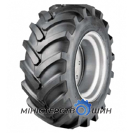 Tianli  R1W (c/х) 650/65 R42 161A8/158D