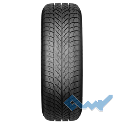 Paxaro INVERNO 245/45 R18 100V XL FR